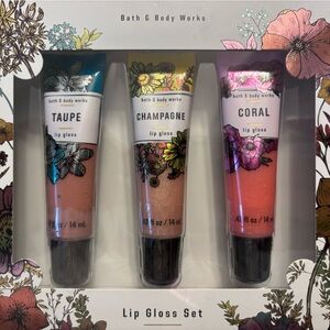 Bath & Body Works tinted lip gloss set
